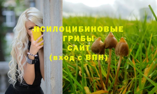 СК Струнино